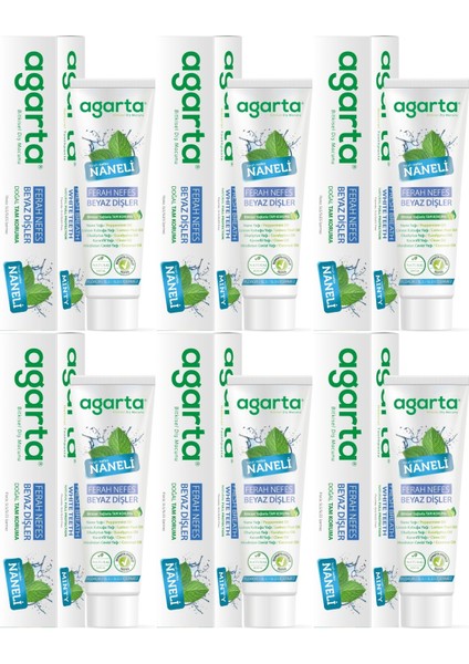 Doğal Diş Macunu 100ML Naneli (6 Lı Set)