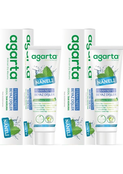 Doğal Diş Macunu 100ML Naneli (2 Li Set)