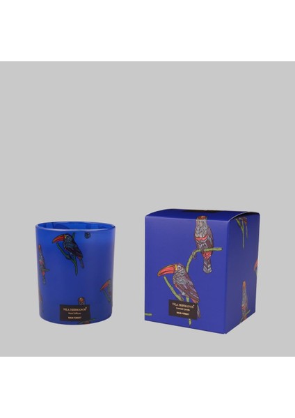 Toucan Raın Forest Candle 200G Mum, Standart