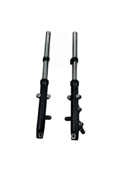 Pulsar Ns 200 Ön Amortisör Takım Abs''li Orjınal