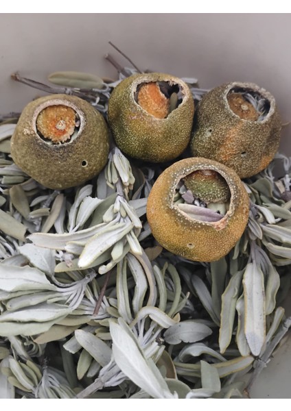 Çaydalina (Mandalina Çayı) Özel Kutuda 12 adet fiyatları