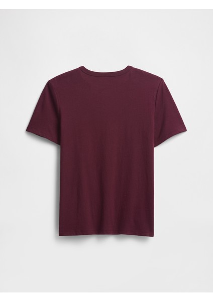 Erkek Çocuk Bordo Grafik Baskılı T-Shirt modelleri