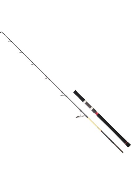 Daıwa Grandwave 1,99M 220GR 1+1p Jıg Kamışı