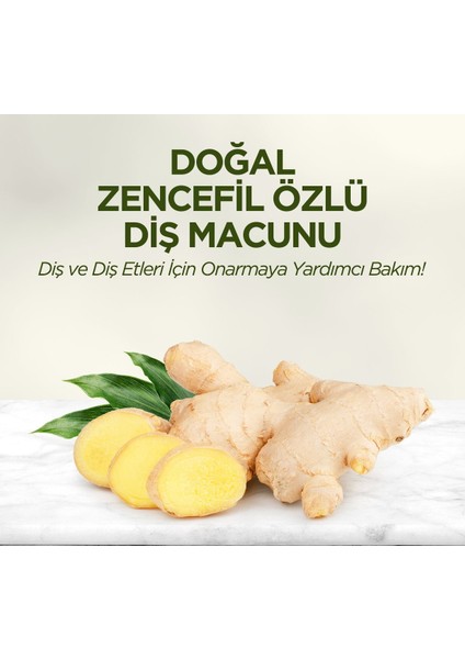 Eyüp Sabri Tuncer Doğal Diş Macunu 90 gr Zencefil Özlü fiyatları
