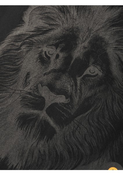 Galatasaray Baskılı Gabardin Bez Torba Çanta 40*45CM U251328 modelleri