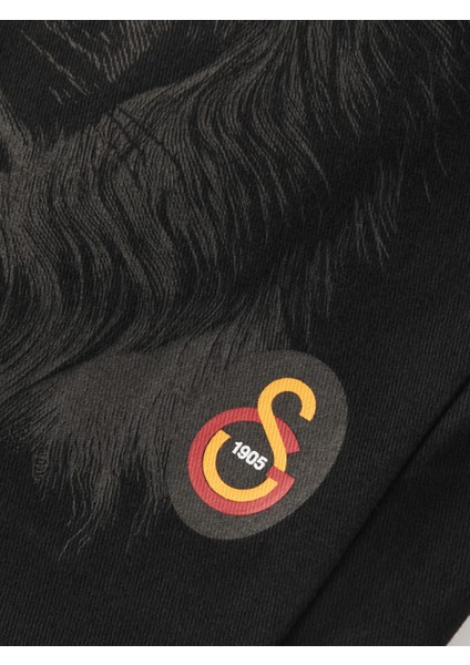 Galatasaray Baskılı Gabardin Bez Torba Çanta 40*45CM U251328 fırsatları