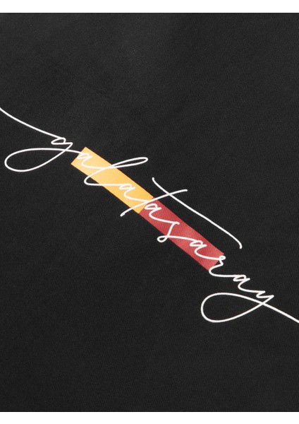 Galatasaray Baskılı Gabardin Bez Torba Çanta 40*45CM U251328 indirimleri