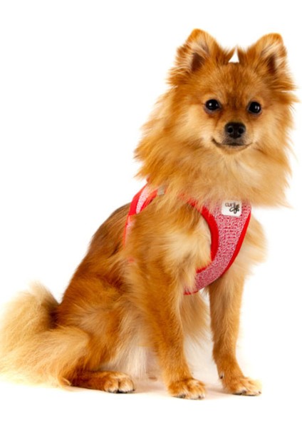 Vest Harness Merino Curli Clasp Red