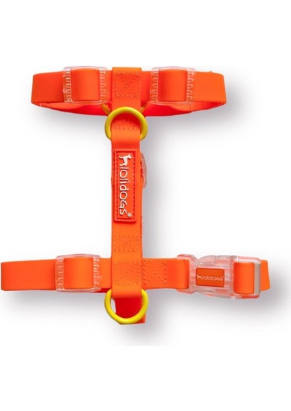 Jelly Collection Köpek Göğüs Tasması Mango