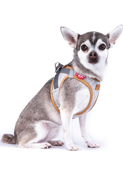 Alpine Curli Clasp Vest Harness Light Gray