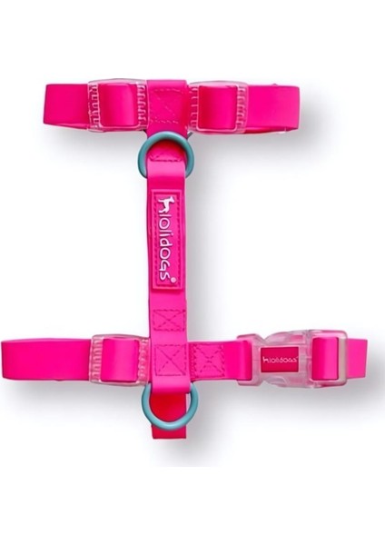 Jelly Collection Köpek Göğüs Tasması Candy