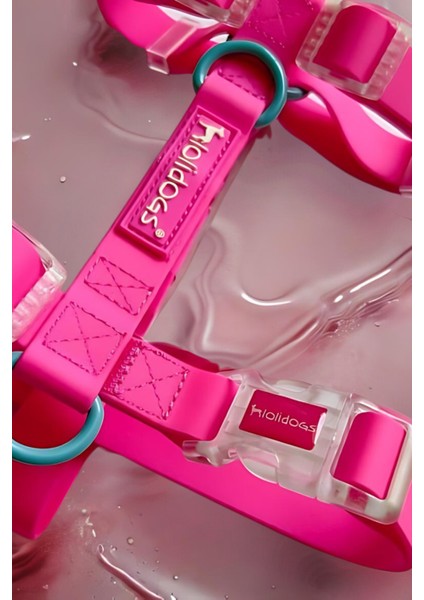 Jelly Collection Köpek Göğüs Tasması Candy fiyatları