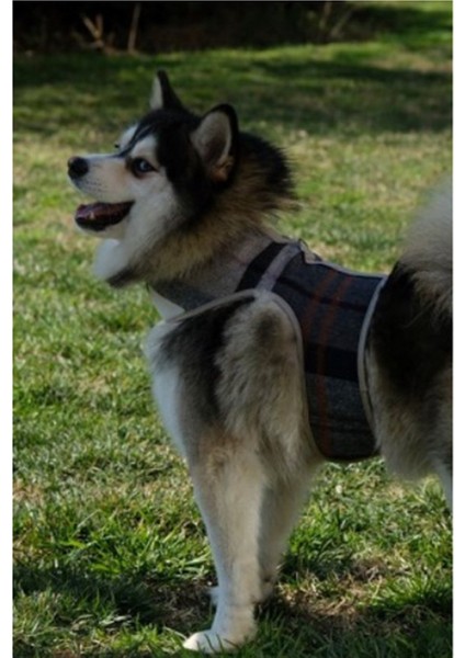 Bcbc Fluffy Köpek Vest Harness Mavi fırsatları