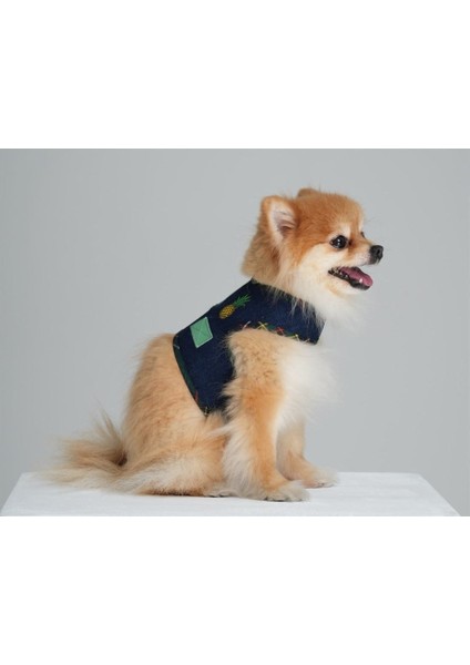 Bcbc Pineapple Çift Taraflı-Denim Harness Vest fırsatları