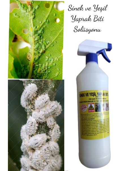 Çiçek ve Bitkiler Için Sinek ve Yaprak Biti Solüsyonu 1000 ml