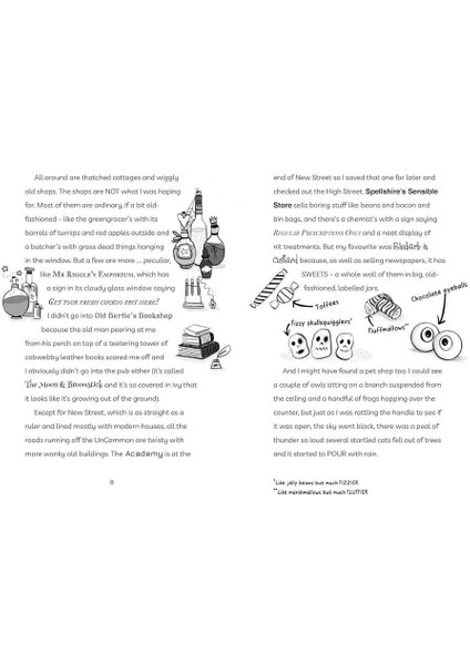 Diary of an Accidental Witch