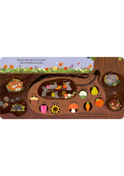 Can You Catch the Bunny modelleri