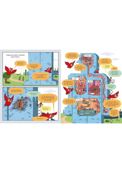 Book Of The Body And How It Works