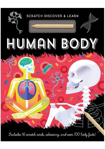 Human Body - Scratch, Discover And Learn