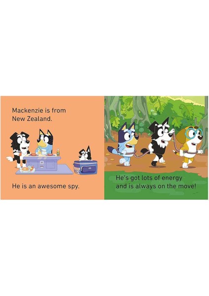 Bluey - Bluey and Friends Little Library fiyatları