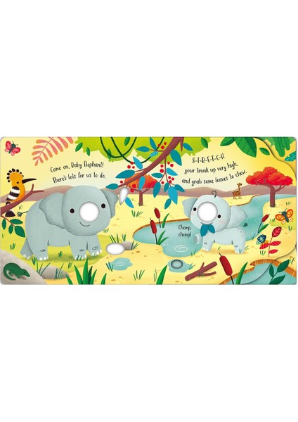Fingerwilly Elephants