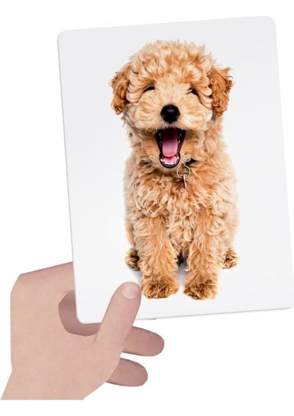 Flashcards Tactıle Montessori (1-4 Yaş)