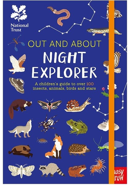 Out And About Night Explorer