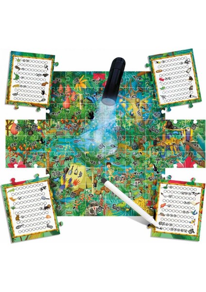 Explore The Forest (5-10 Yaş)