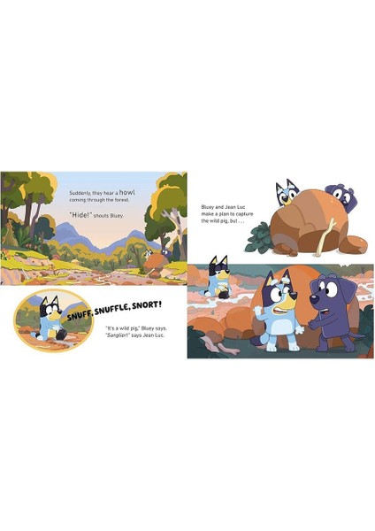 Bluey - Camping - Paperback