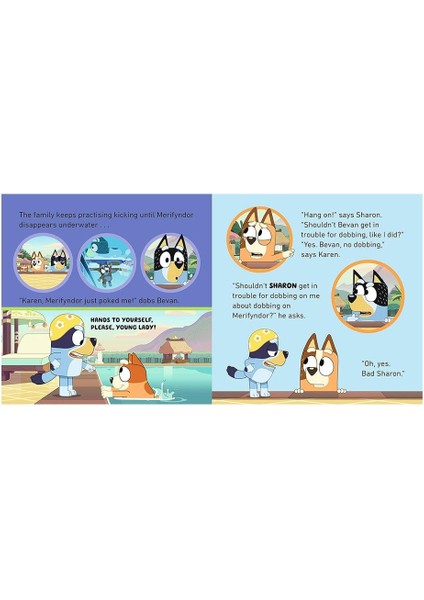 Bluey - Swim School - Board Book fırsatları