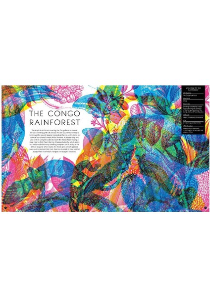 Illuminature modelleri