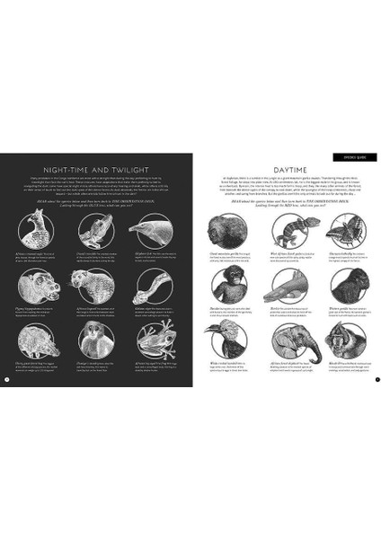 Illuminature fırsatları