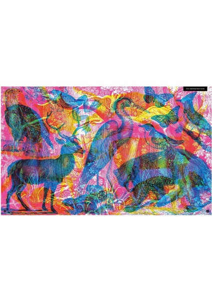 Illuminature indirimleri