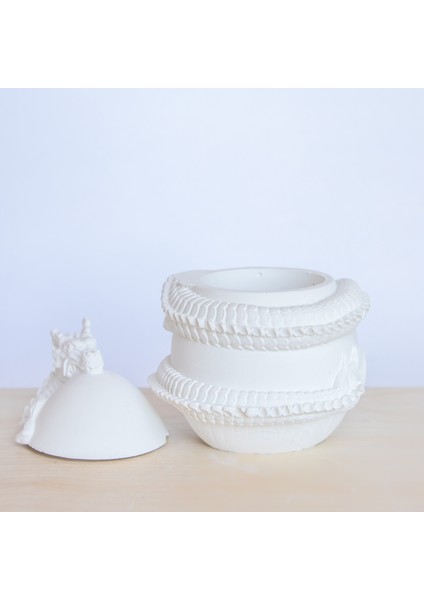 Ejderha Kutu fiyatları