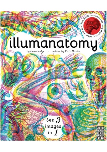Illumanatomy