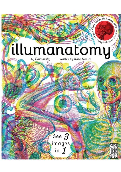Illumanatomy fiyatları