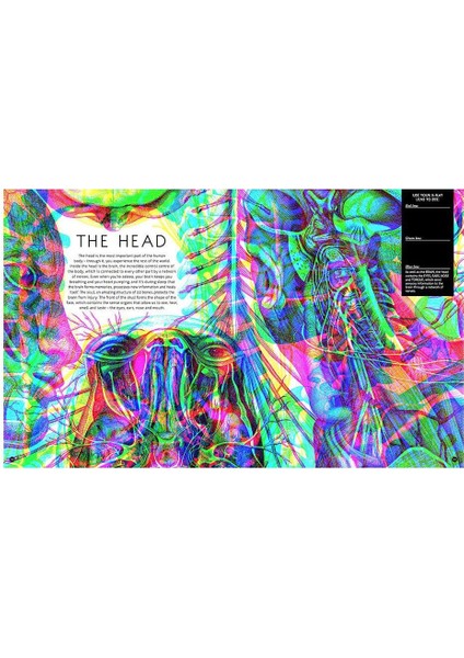 Illumanatomy modelleri