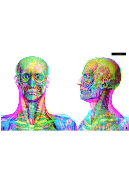 Illumanatomy fırsatları