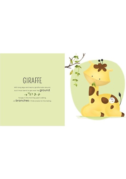 Who Lıves In The Savannah fırsatları