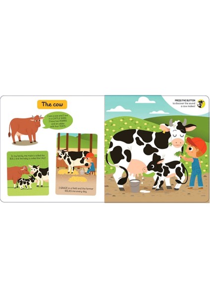 My Fırst Sound Book: Farm modelleri