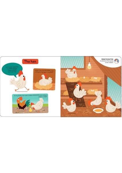 My Fırst Sound Book: Farm fırsatları