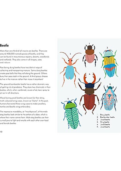 Insects And Minibeasts - A Ladybird Book