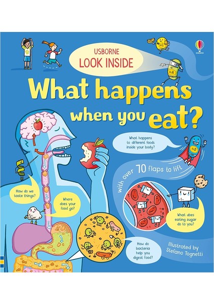 Look Inside What Happens When You Eat