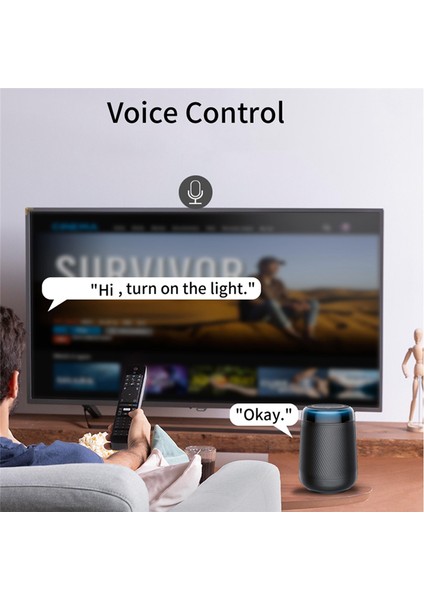 4ch Wifi Akıllı Anahtar + RF433 Uzaktan Kumanda 7-32V 2.4g Wifi (Yurt Dışından)