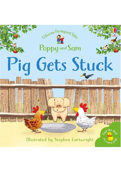Pig Gets Stuck