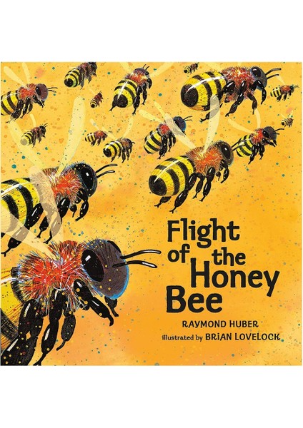 Flıght Of The Honey Bee