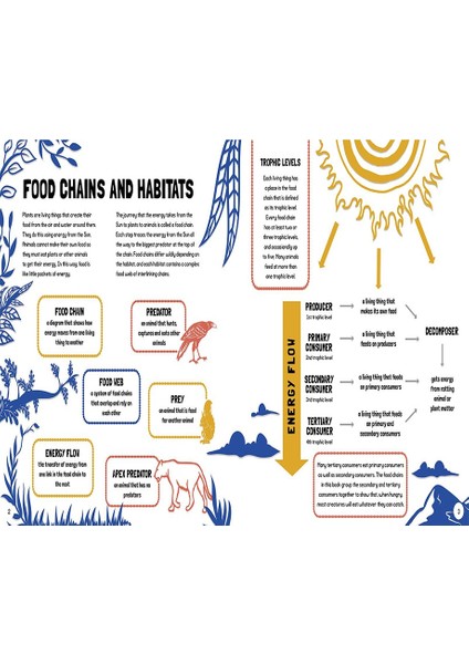 Food Chains: Who Eats What fiyatları