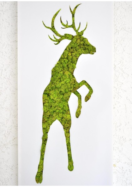 Geyik Silüetli Doğal Yosun Duvar Dekoru | 40X100 cm | Beyaz Pleksi Üzerine El Yapımı, Bakım Gerektirmeyen Moss Tablo modelleri