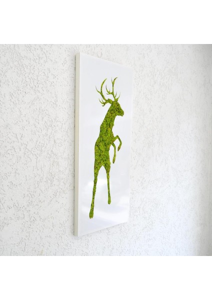 Geyik Silüetli Doğal Yosun Duvar Dekoru | 40X100 cm | Beyaz Pleksi Üzerine El Yapımı, Bakım Gerektirmeyen Moss Tablo fırsatları