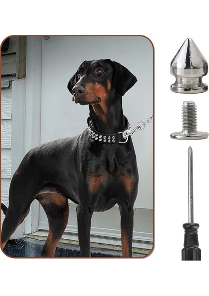 100 Paket Çivili ve Saplamalar 9,5 mm Giysiler Için Çivili Metal Saplamalar Perçinler (Yurt Dışından)